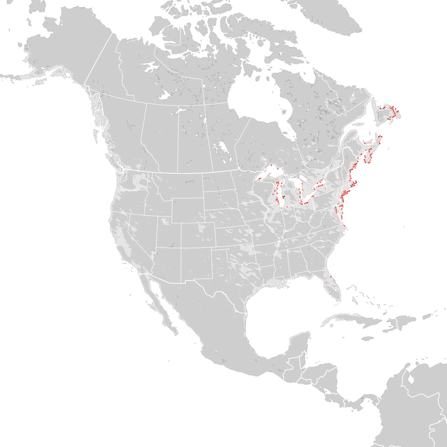 Mapa de Tendências