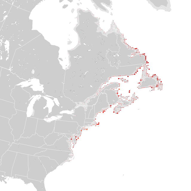 Mapa de Tendências