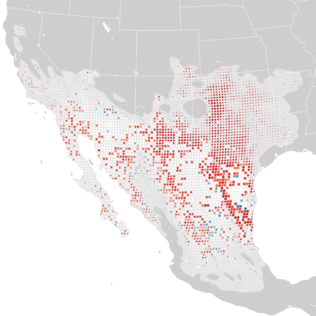 Mapa de tendencias