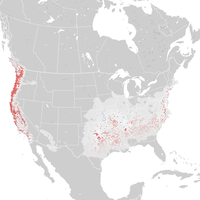 Mapa de tendencias