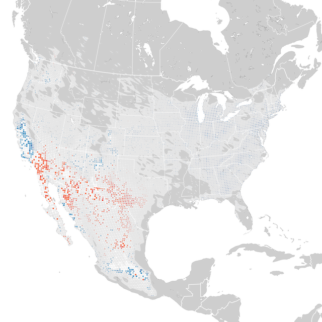 Trends Map