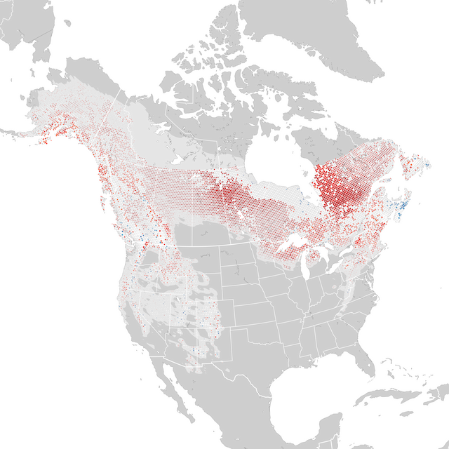 Trends Map