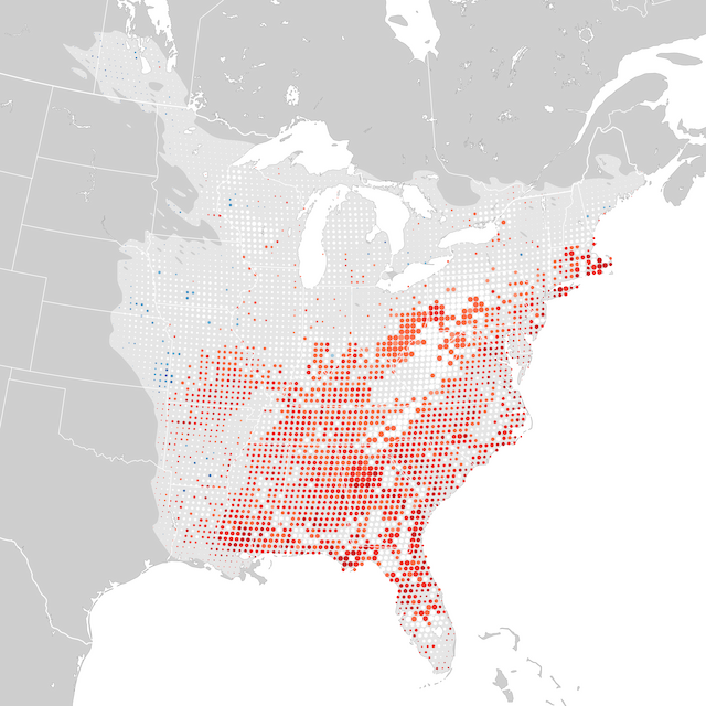 Mappa delle tendenze