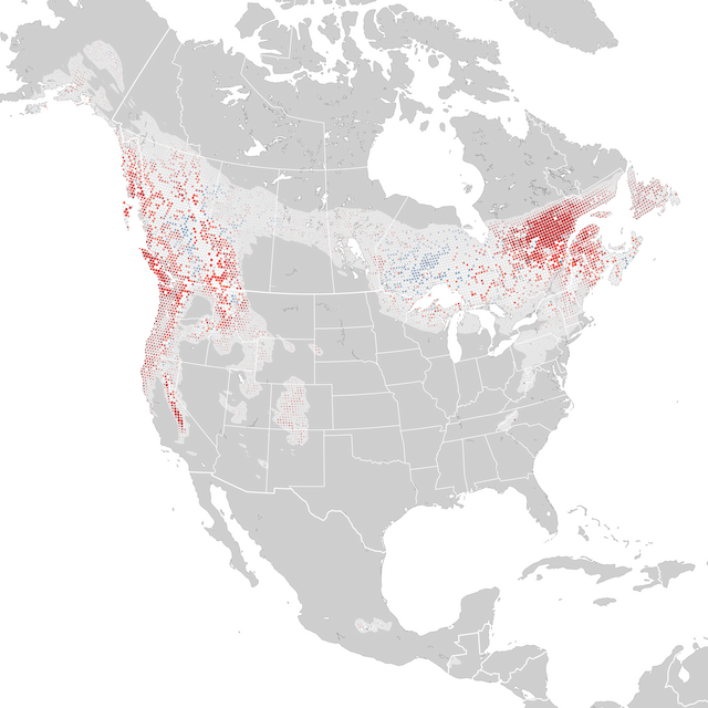 Carte des tendances