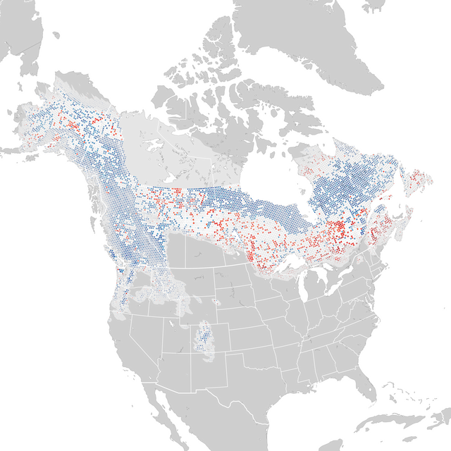 Trends Map