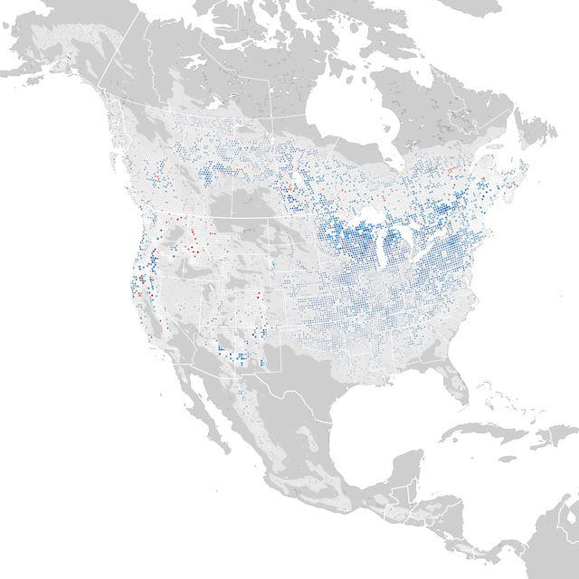 Trends Map