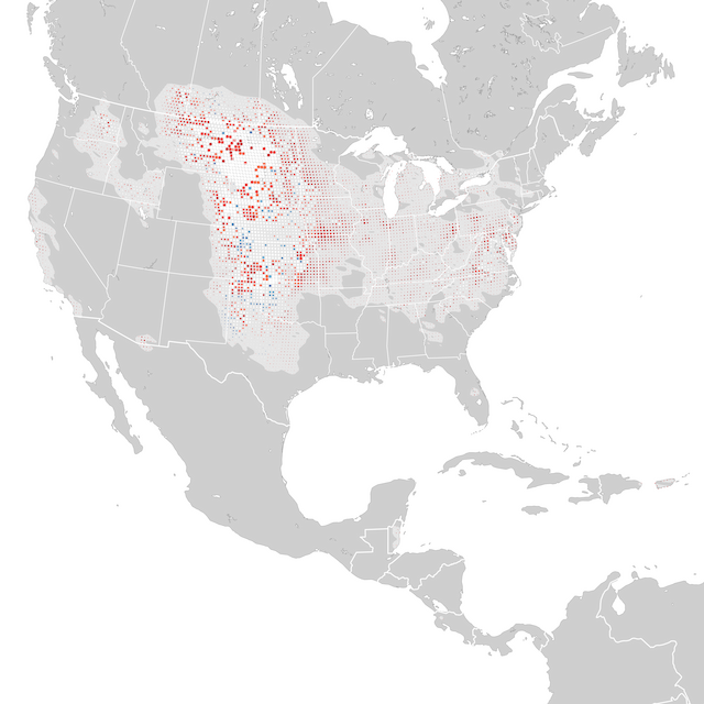 Mapa de tendencias