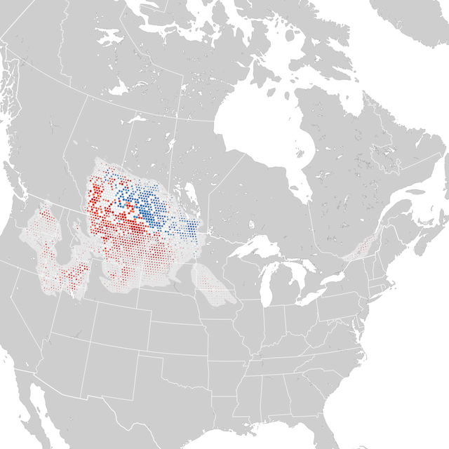 Trends Map