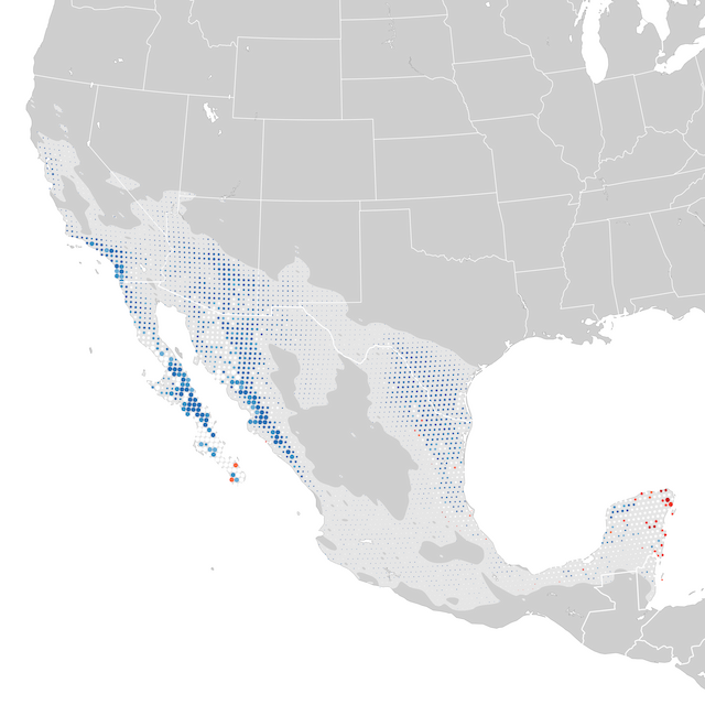 Trends Map
