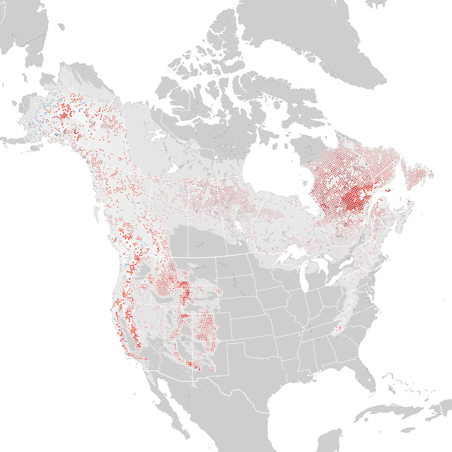 Trends Map