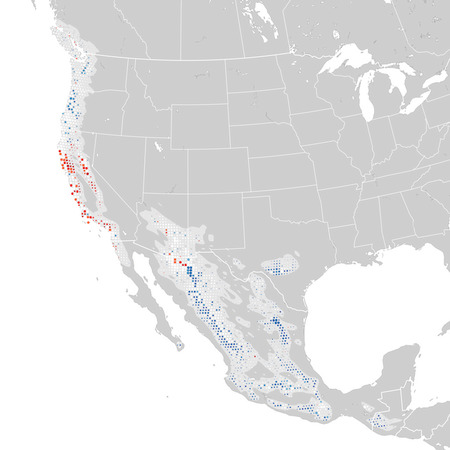 Trends Map