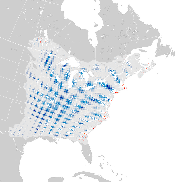 Trends Map