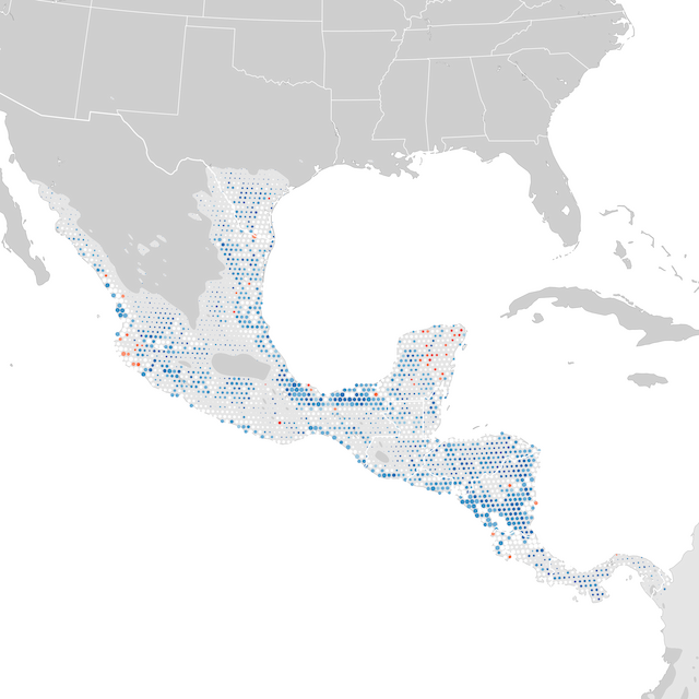 Mappa delle tendenze