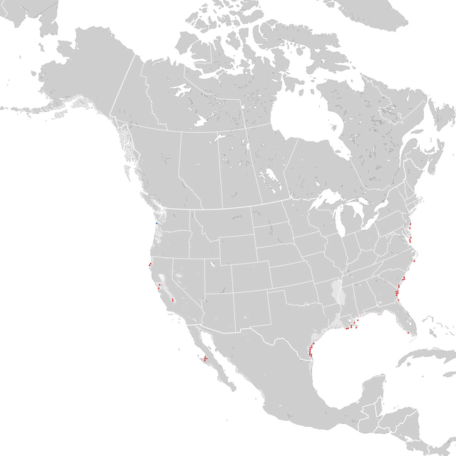 Mapa de Tendências