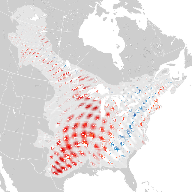 Trends Map