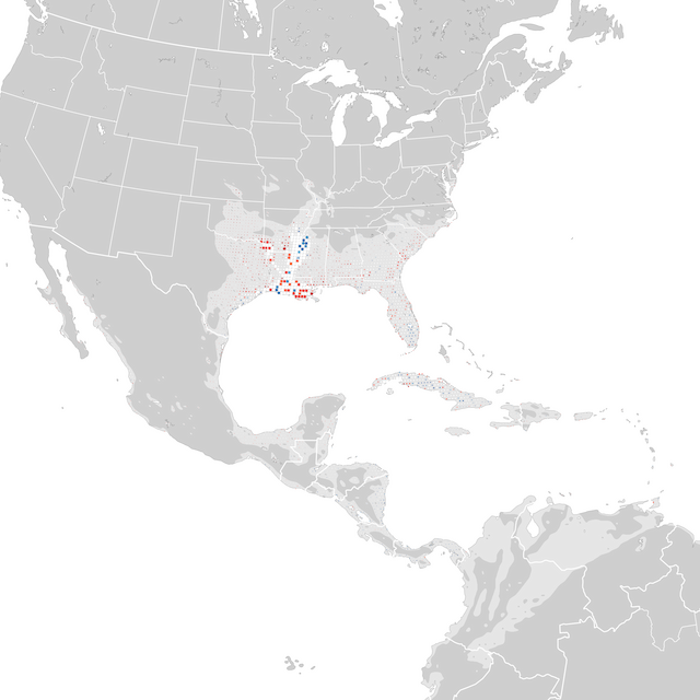 Mapa de Tendências