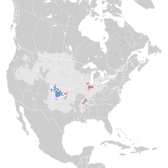 Mapa de tendencias