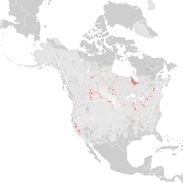 Mapa de Tendências