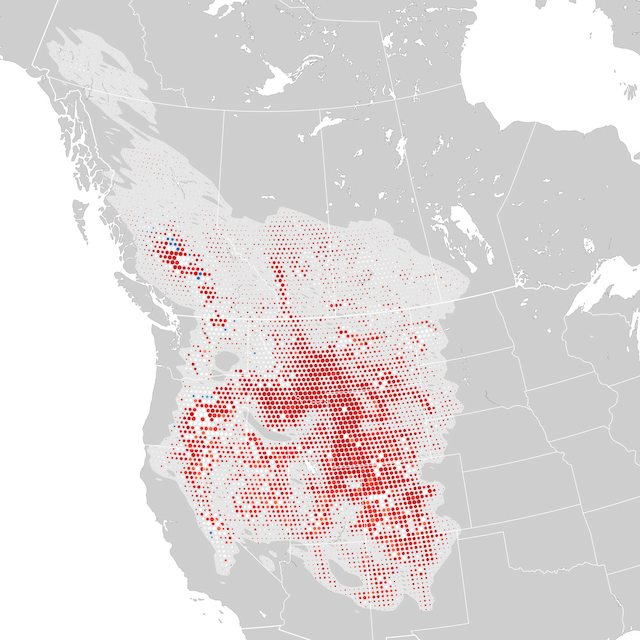 Trends Map