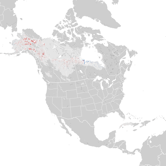 Mappa delle tendenze