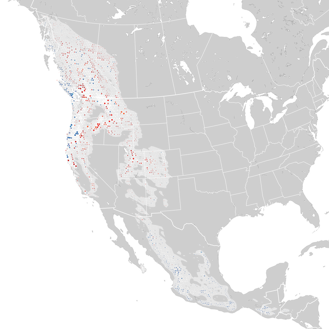 Trends Map