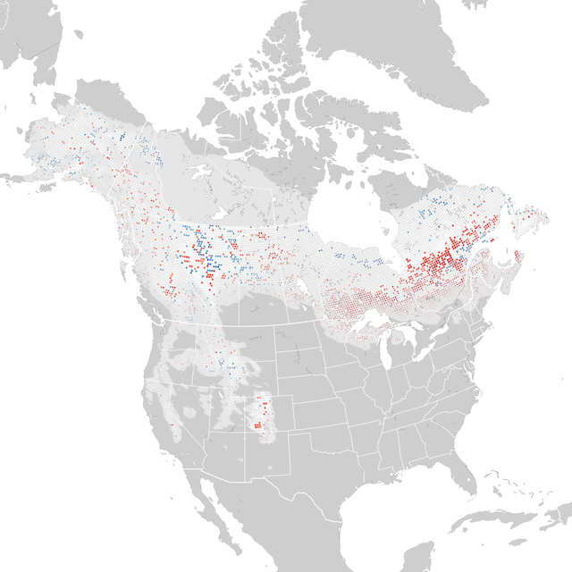 Trends Map