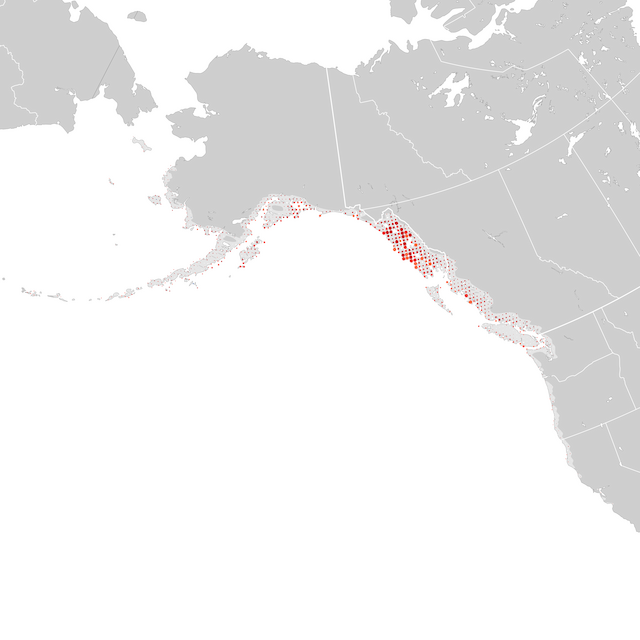 Mapa de Tendências