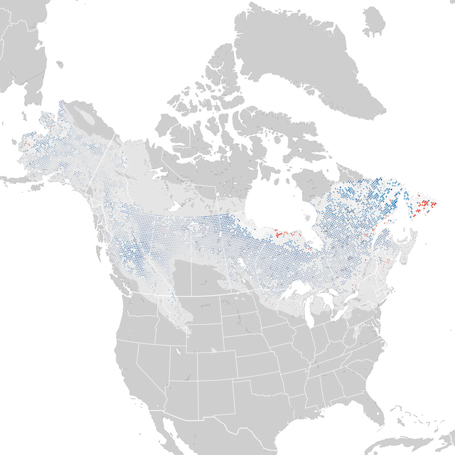 Trends Map