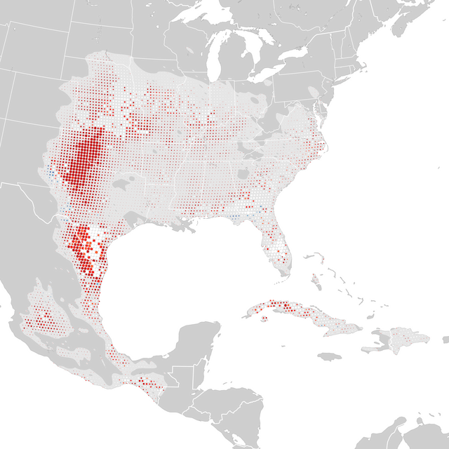 Mappa delle tendenze