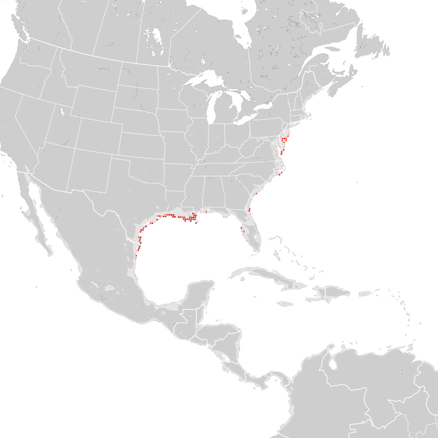 Mapa de Tendências