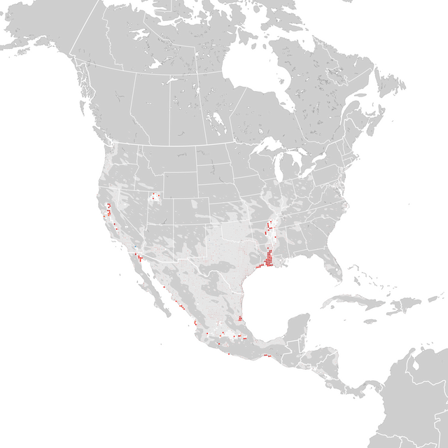 Mapa de Tendências