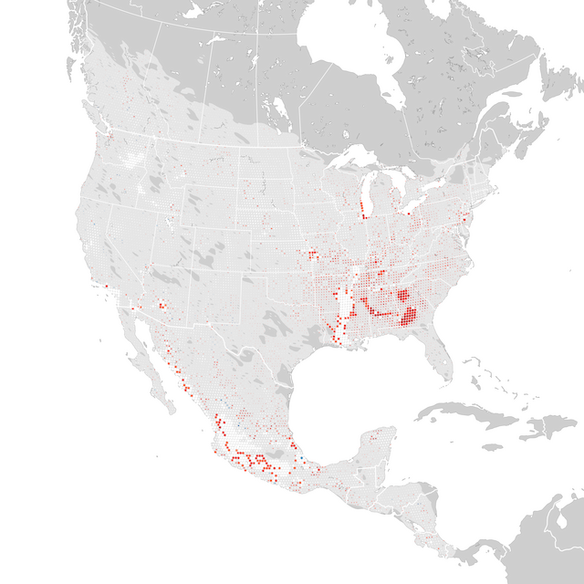 Mapa de Tendências