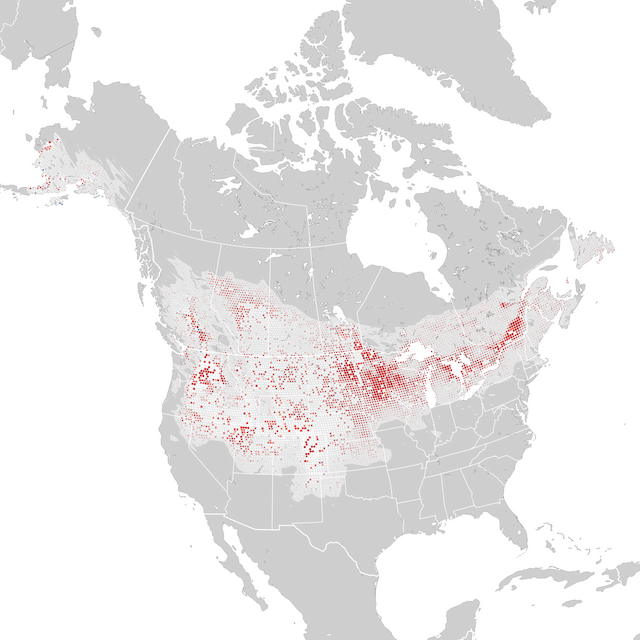 Mapa de Tendências