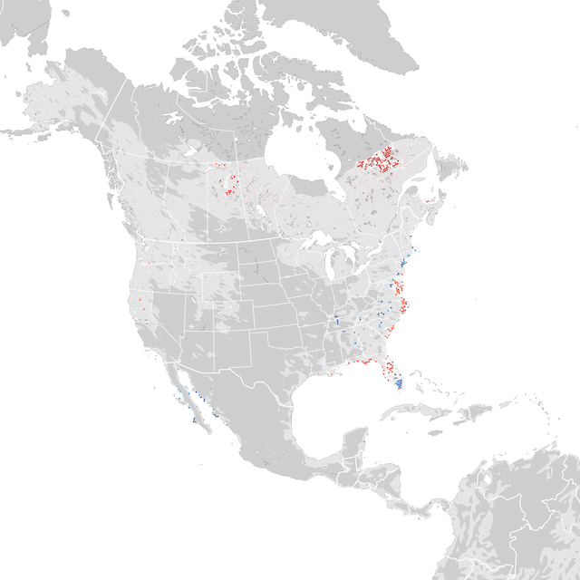 Mappa delle tendenze