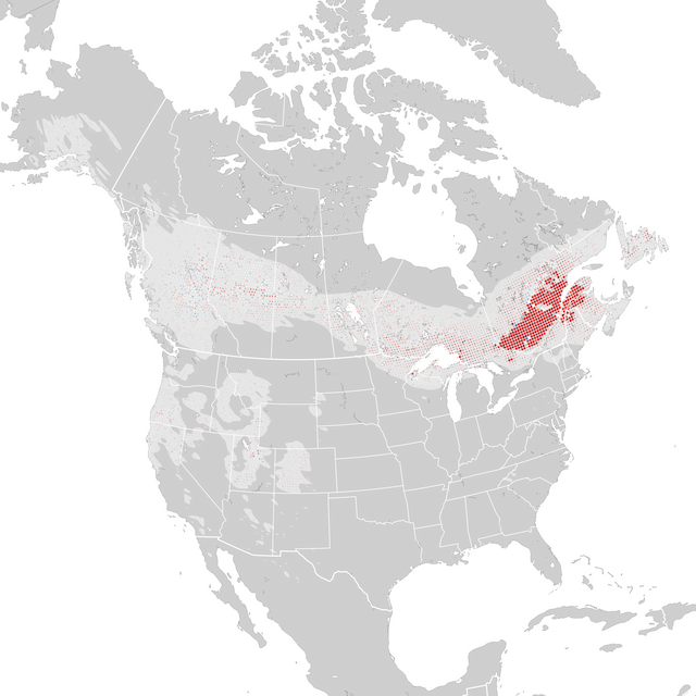 Mapa de tendencias