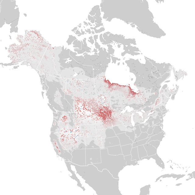 Mapa de Tendências