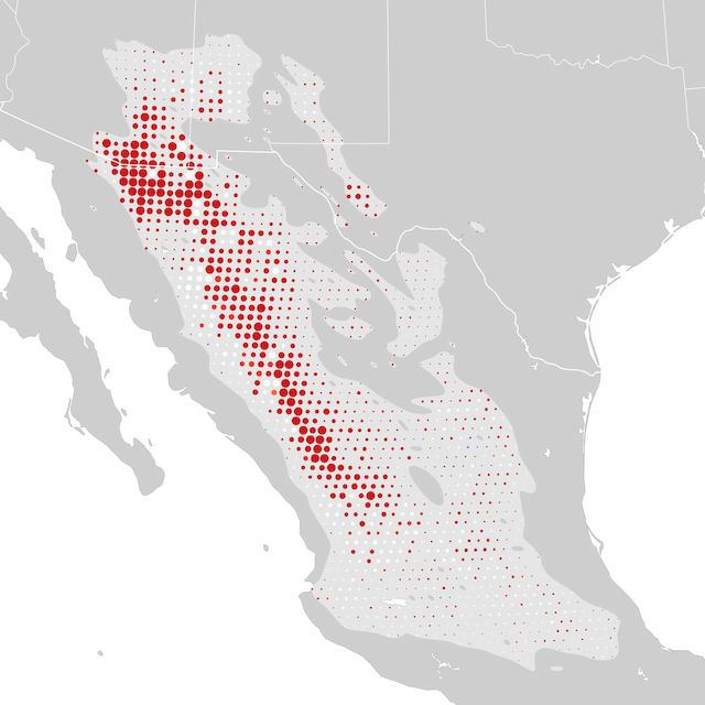 Mapa de Tendências