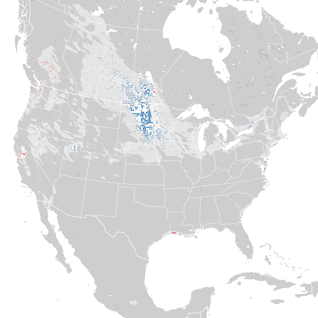 Trends Map