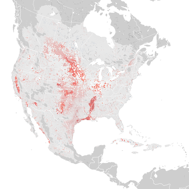 Mapa de Tendências