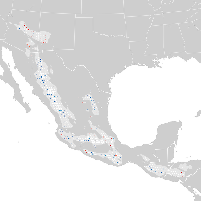 Mapa de Tendências