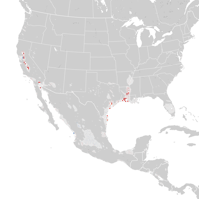 Mapa de Tendências