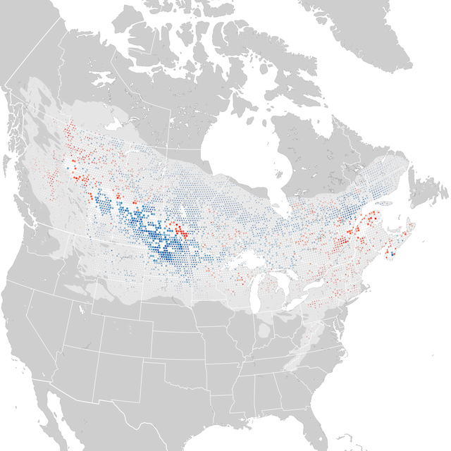 Trends Map