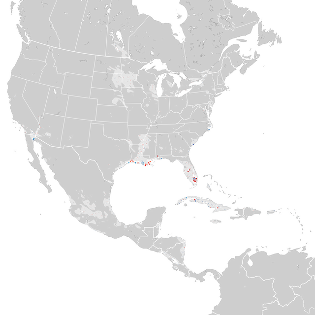 Trends Map