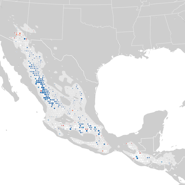 Mapa de Tendências