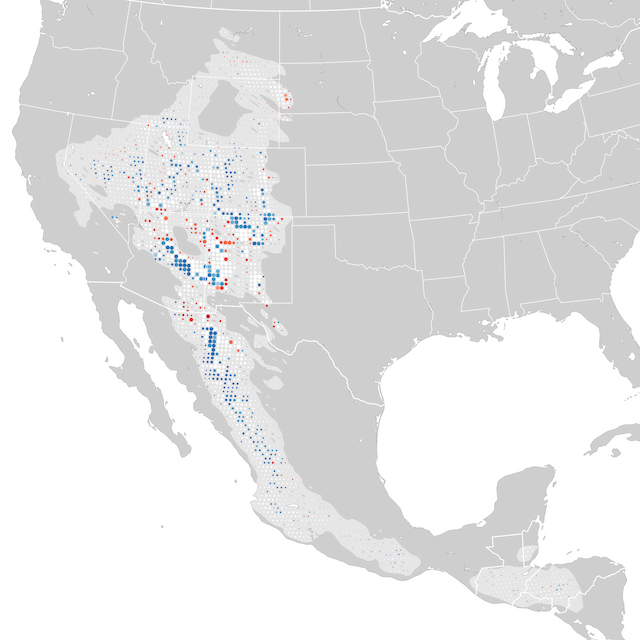 Trends Map