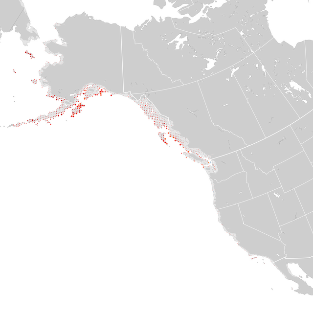 Mapa de Tendências