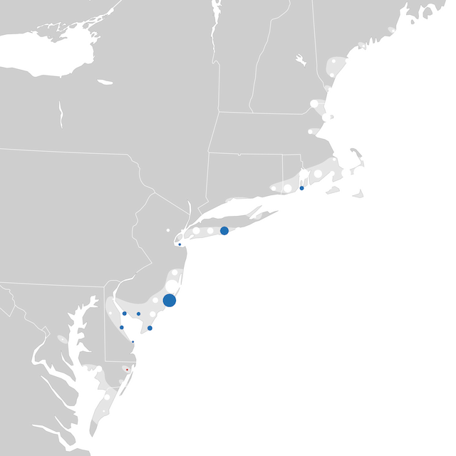 Trends Map