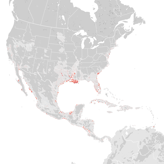 Mapa de Tendências