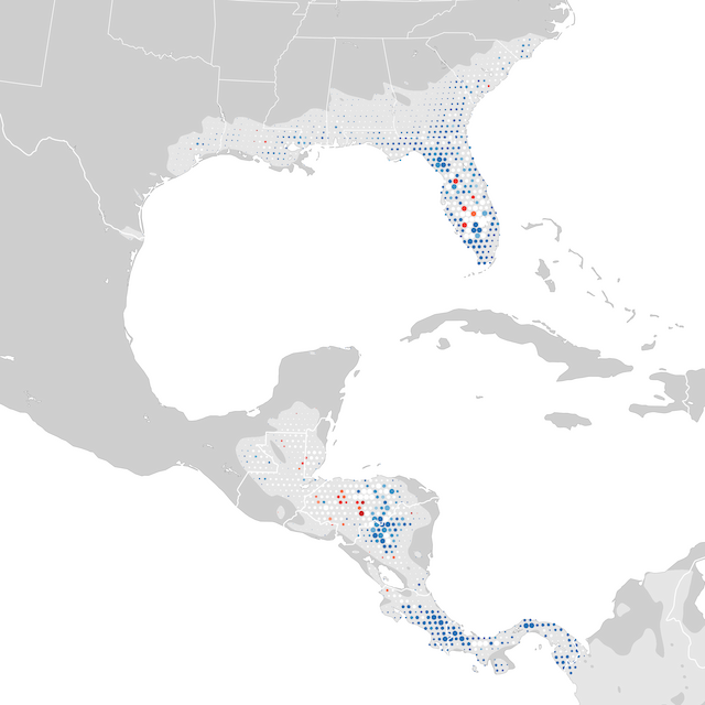 Mappa delle tendenze