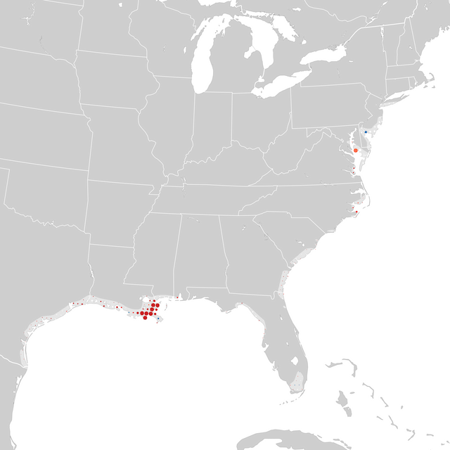 Mappa delle tendenze